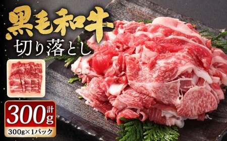 九州産 黒毛和牛 切り落とし 300g（300g×1パック）お肉 牛肉 国産牛 和牛 黒毛和牛 お肉 肉 冷凍 福岡県 北九州市