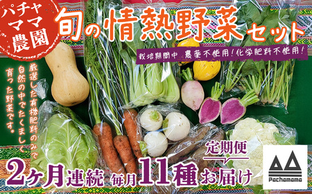 【2ヶ月連続お届け】農園自慢の情熱野菜セット（11品）【 野菜 野菜セット おすすめ 詰め合わせ 定期 定期便 野菜詰め合わせ 野菜 無農薬 野菜 ﾔｻｲ 】