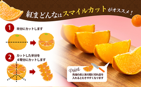 紅まどんな 柑橘 愛媛県産 紅まどんな【青秀3L〜L 10〜15玉】