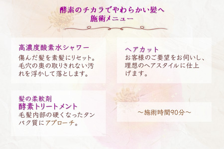 「酵素のチカラでやわらかい髪へ」ご利用券 酵素トリートメント ヘアカット 高濃度酸素水ケア 所要時間90分 髪質改善 ヘアケア 髪の柔軟剤 ヘアスタイル トリートメント 美容室 髪質 素髪 剛毛 ダメ