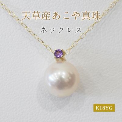 ふるさと納税 天草市 真珠 ネックレス 8-8.5mm ホワイトピンク 2月 アメシスト K18YG_S101-505