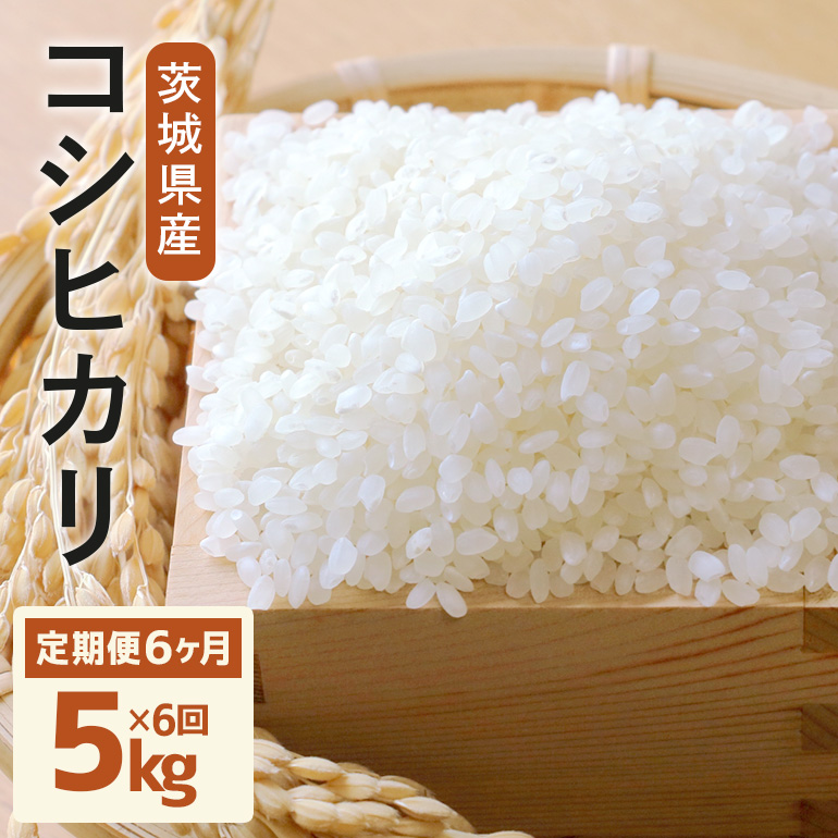 定期便 常陸牛農家が育てるコシヒカリ 5kg×6回 令和7年度産 米 お米 白米 こめ 精米 取り寄せ 特産 ごはん ご飯 コメ お取り寄せ ギフト 贈り物 お弁当 弁当 おにぎり ふっくら ツヤツヤ 甘い 農家直送 産地直送 国産 茨城県産