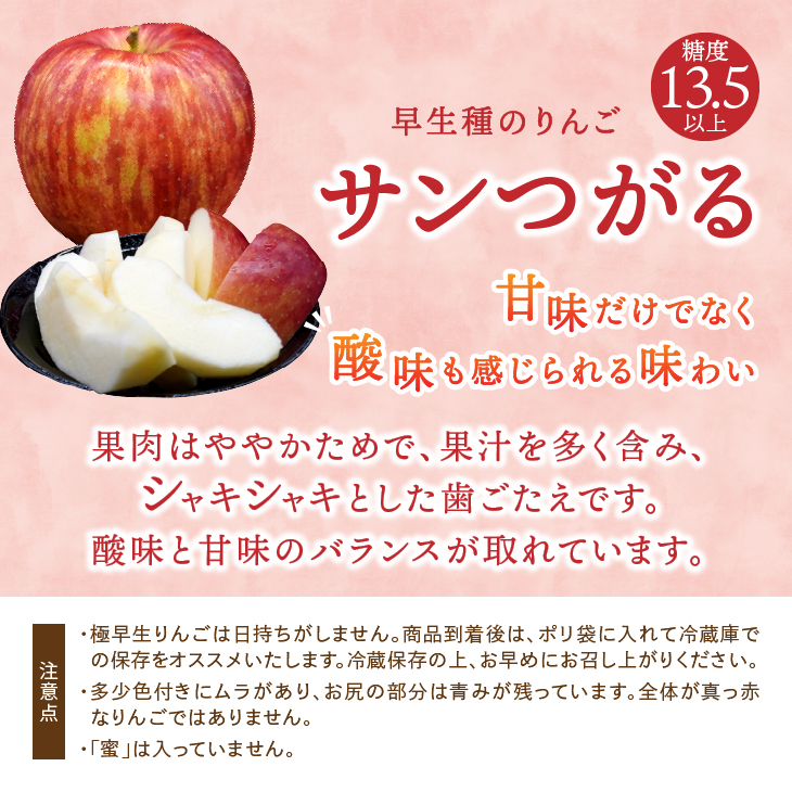お試し用　江刺りんご「サンつがる」6玉 離島配送不可[AQ090]