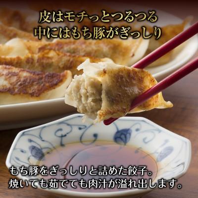ふるさと納税 南魚沼市 和豚 もちぶたが詰まった 手作り餃子 10個入り×4袋 計40個 冷凍 |  | 01