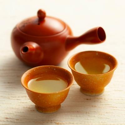 ふるさと納税 宇治市 中村藤吉本店 煎茶『都の巽』・玉露『嘉玉』詰合せ |  | 01