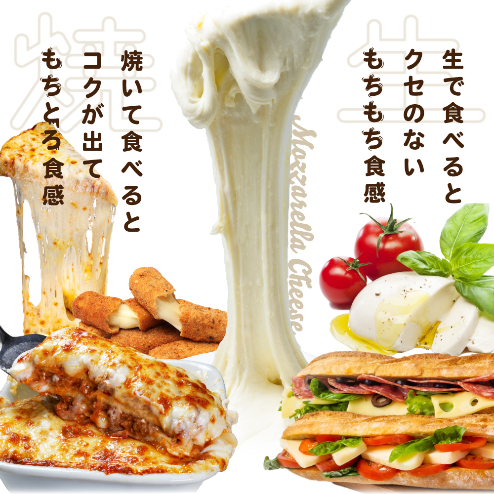 【森永乳業】モッツァレラチーズ　９００ｇ (１００ｇ×９個セット)　クラフト フレッシュモッツァレラ