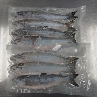 ふるさと納税 十和田市 十和田湖ひめます(26cm)6〜8尾　約1.3kg〔冷凍〕 |  | 01