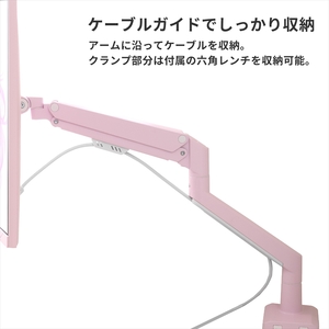 モニターアーム デュアル 耐荷重9kg/1本 ピンク PSW1DPK【 神奈川県 小田原市 】