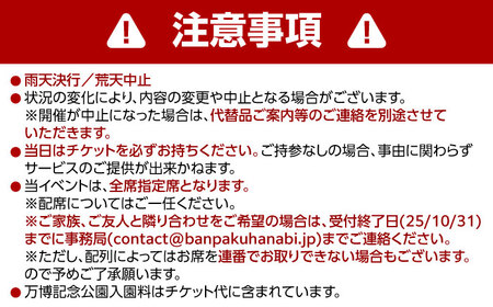 第4回 万博夜空がアートになる日 花火鑑賞チケット ペアVIPシート 観光 イベント 花火大会 シート 万博 万博公園 大阪府高槻市/万博花火プロジェクト[AOBL010]
