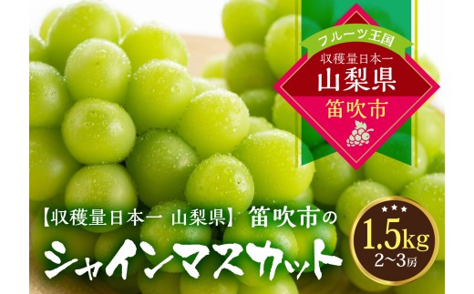 【2027年発送★先行予約】葡萄の一大産地！笛吹市産シャインマスカット1.5kg 167-107-27y