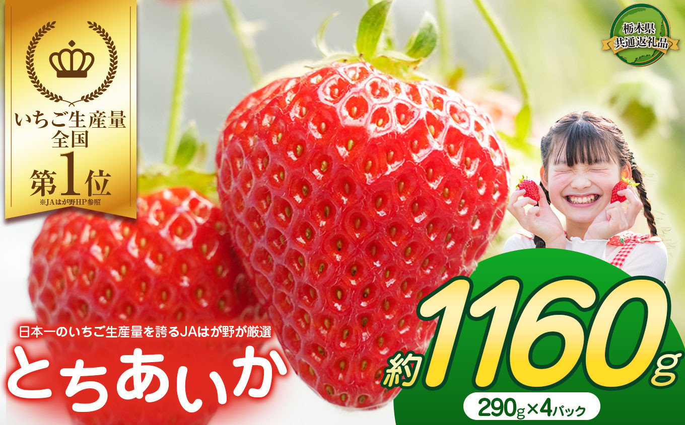 
            大人気！日本一のいちご生産量を誇るJAはが野が厳選 最旬 とちあいか 290g×4P | いちご とちおとめ 甘い 美味しい 果物 共通返礼品 フルーツ デザート 栃木県 那珂川町 送料無料
          