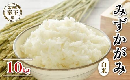 新米 令和8年産 みずかがみ 白米 10kg 2026年産 新米 新米 新米 新米 新米