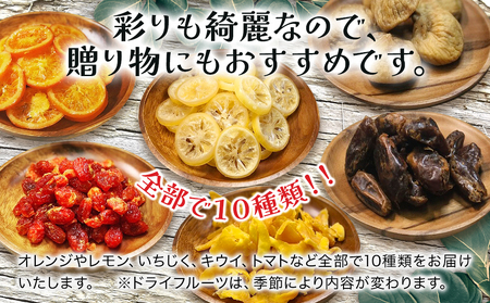 【季節限定】ドライフルーツ・ナッツ10種ギフトセット オレンジ レモン いちじく キウイ トマト デーツ マンゴー アーモンド カシューナッツ 大分県産 九州産 津久見市 国産 熨斗対応可