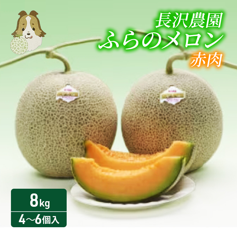 【先行受付  2027年発送】ふらのメロン 赤肉 大玉 ジャンボ 4～6玉セット 計約8kg 北海道 富良野 メロン 夏 果物 フルーツ ギフト 長沢農園
