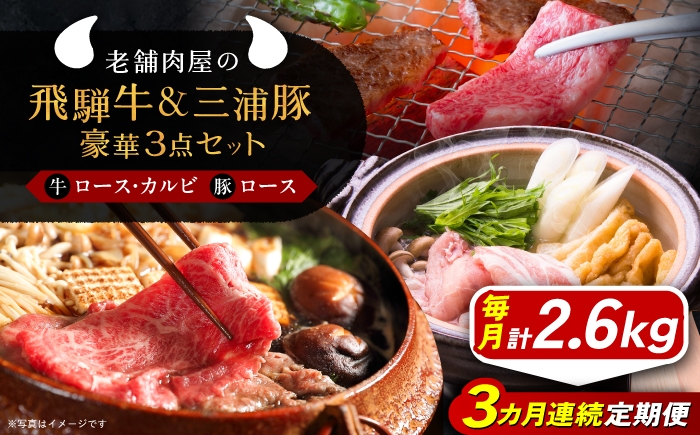 
                  【3回定期便】 牛肉 飛騨牛ロース1kg カルビ700g 三浦豚ロース900g 豪華3点セット 各種類1パック しゃぶしゃぶ・焼肉 / 飛騨牛 三浦豚 ロース カルビ セット 和牛 国産 霜降り 肉 A5ランク 高級肉 ブランド牛 ブランド和牛 肉 牛肉 冷凍 焼き肉 バーベキュー BBQ お取り寄せ 贈答 ギフト 岐阜県 /恵那市/岩島屋 [AUAJ030]
                