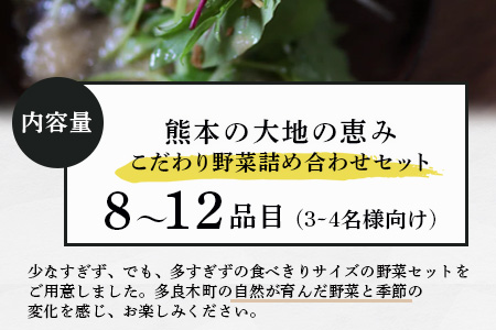 熊本の大地の恵み 旬の こだわり野菜詰め合わせセット 8〜12品 （3〜4名様向け）野菜 獲れたて 新鮮 野菜 セット 詰め合わせ 詰合せ 産地 直送 国産 季節 野菜 家族 ファミリー 多良木町 0