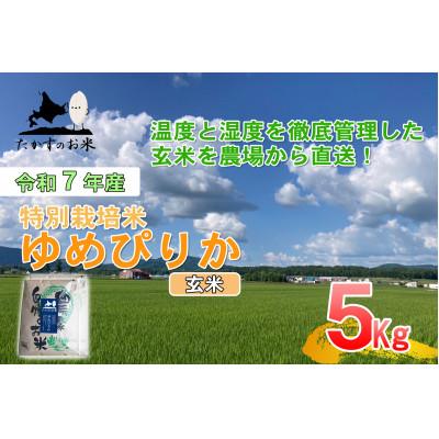 ふるさと納税 鷹栖町 令和7年産予約 たかすのお米 特別栽培米 ゆめぴりか 5kg(玄米)