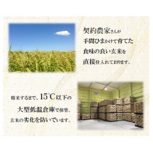 【令和5年産】栃木県産とちぎの星 (精米)5kg×1袋 ｜ お米 白米 一等米 送料無料 栃木県 宇都宮市 ※離島への配送不可
