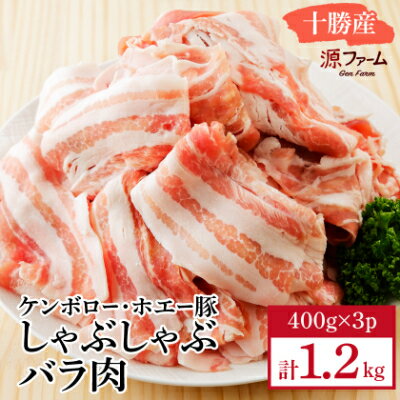 【ふるさと納税】ケンボロー・ホエー豚 しゃぶしゃぶバラ肉1.2kgセット(全1回/3回/6回/12回)【配送不可地域：離島】【G1396955】