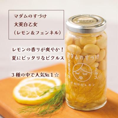 ふるさと納税 乙部町 酸味控えめ甘さスッキリ【マダムのすづけ 大莢白乙女 レモン&フェンネル:1本】 |  | 01