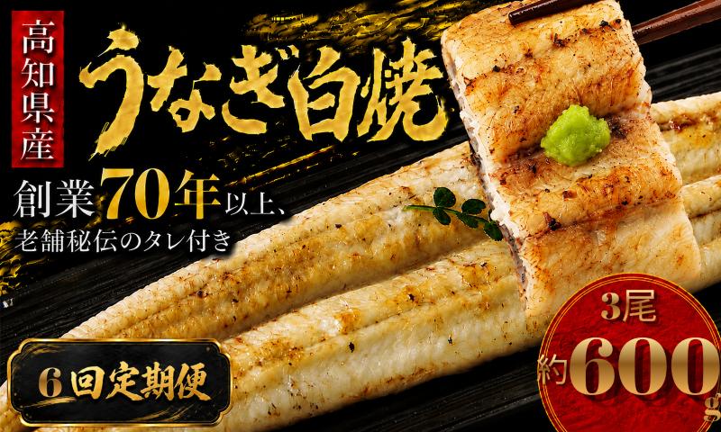 【6回 定期便】 高知県産 うなぎ 白焼 3尾 | 国産 日本産 うな重 うな丼 鰻 ウナギ 有頭 白焼き しらやき 土用丑の日 土用の丑の日 丑の日 魚 魚介 魚貝 海鮮 高級 贅沢 特別 老舗 初