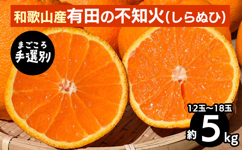 
            【まごころ手選別】和歌山産　有田の不知火(しらぬひ)5kg(12玉～18玉) ※2026年2月上旬～4月下旬頃に順次発送予定
          