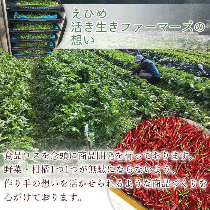 ＜ベジソルト 9種類＞ 野菜 柑橘 かぼちゃ ごぼう しょうが にんにく ほうれん草 みかん 菊芋 紫芋 人参 大葉しそ 柚子 えひめ活き生きファーマーズ株式会社 愛媛県 西予市