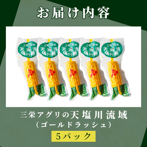 ＜先行予約受付中＞朝採りレトルトスイートコーン ゴールドラッシュ (5パック) 【2026年11月以降発送予定】ゴールドラッシュ 北海道産 北海道 士別市 とうもろこし トウモロコシ とうきび 【三栄