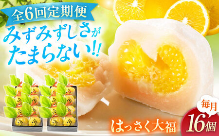 【6回定期便】お菓子 はっさく大福8個入×2　 お菓子 大福 八朔 柑橘 みかん オレンジ 餅 ギフト お取り寄せ スイーツ フルーツ大福 ご当地 菓子 おかし デザート 食品 人気 おすすめ 広島県福山市/株式会社虎屋本舗[BADH027]