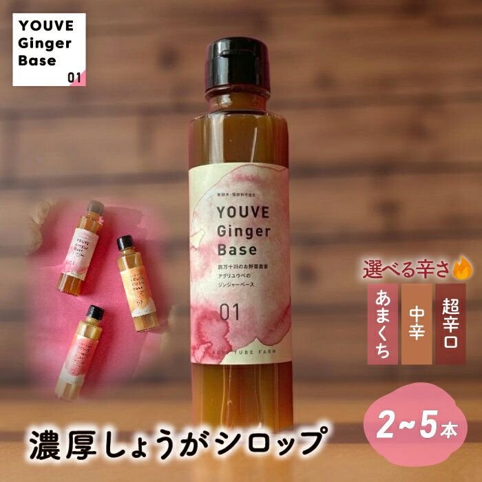 【ふるさと納税】【選べる辛さ】生姜好きさんにオススメ！ 濃厚 しょうがシロップ 2本 / 5本 セット【あまくち・中辛・超辛口】国産 生姜シロップ 自家製 生姜 しょうが ショウガ ジンジャー シロップ ドリンク 調味料 高知 四万十 四万十市 しまんと 産地直送 送料無料