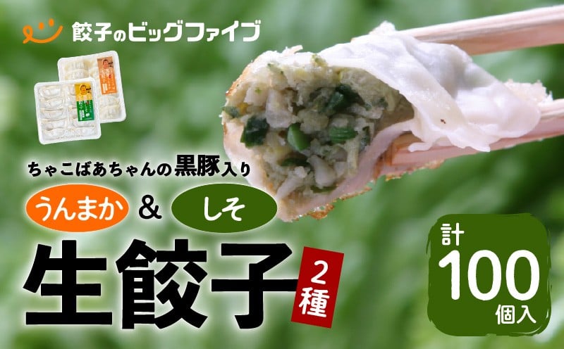 
            ちゃこばあちゃんの黒豚入りうんまか・しそ生餃子 計100個入り　K027-006
          