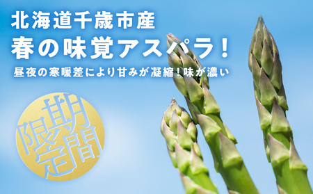 【 2025年 春発送 】 グリーンアスパラ 1kg M～2L アスパラ アスパラガス 野菜 千歳 北海道