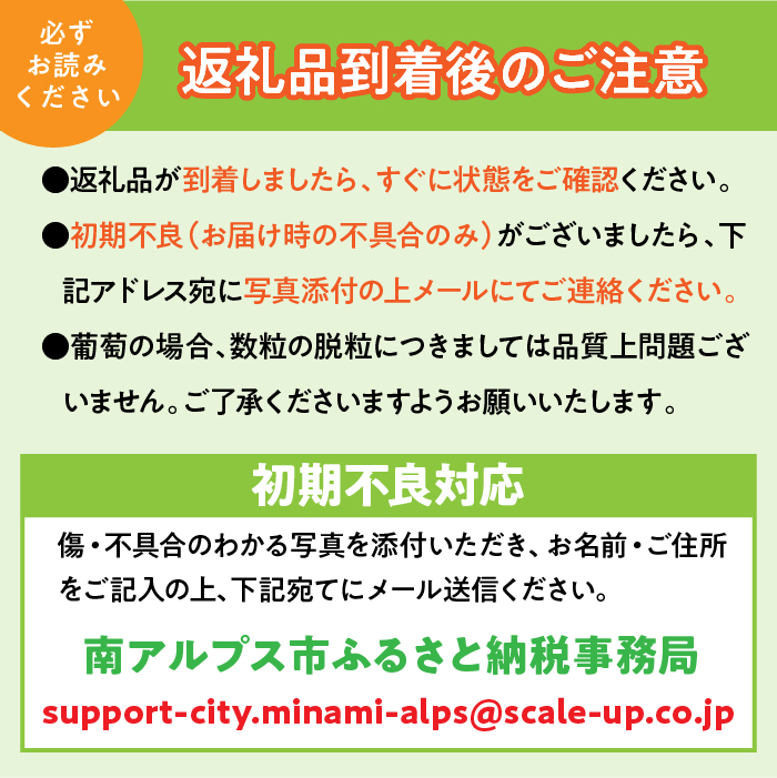 ＜2026年発送先行予約＞【シーズン中3回お届け定期便】頬張る幸福感　～ 緑の宝石・シャインマスカット ～　1㎏以上 2～3房　ALPCV011