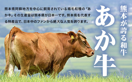 熊本 あか牛切り落とし 500g オオツカ株式会社《90日以内に出荷予定(土日祝除く)》熊本県 津奈木町 あか牛 牛肉 牛 切り落とし 冷凍 送料無料