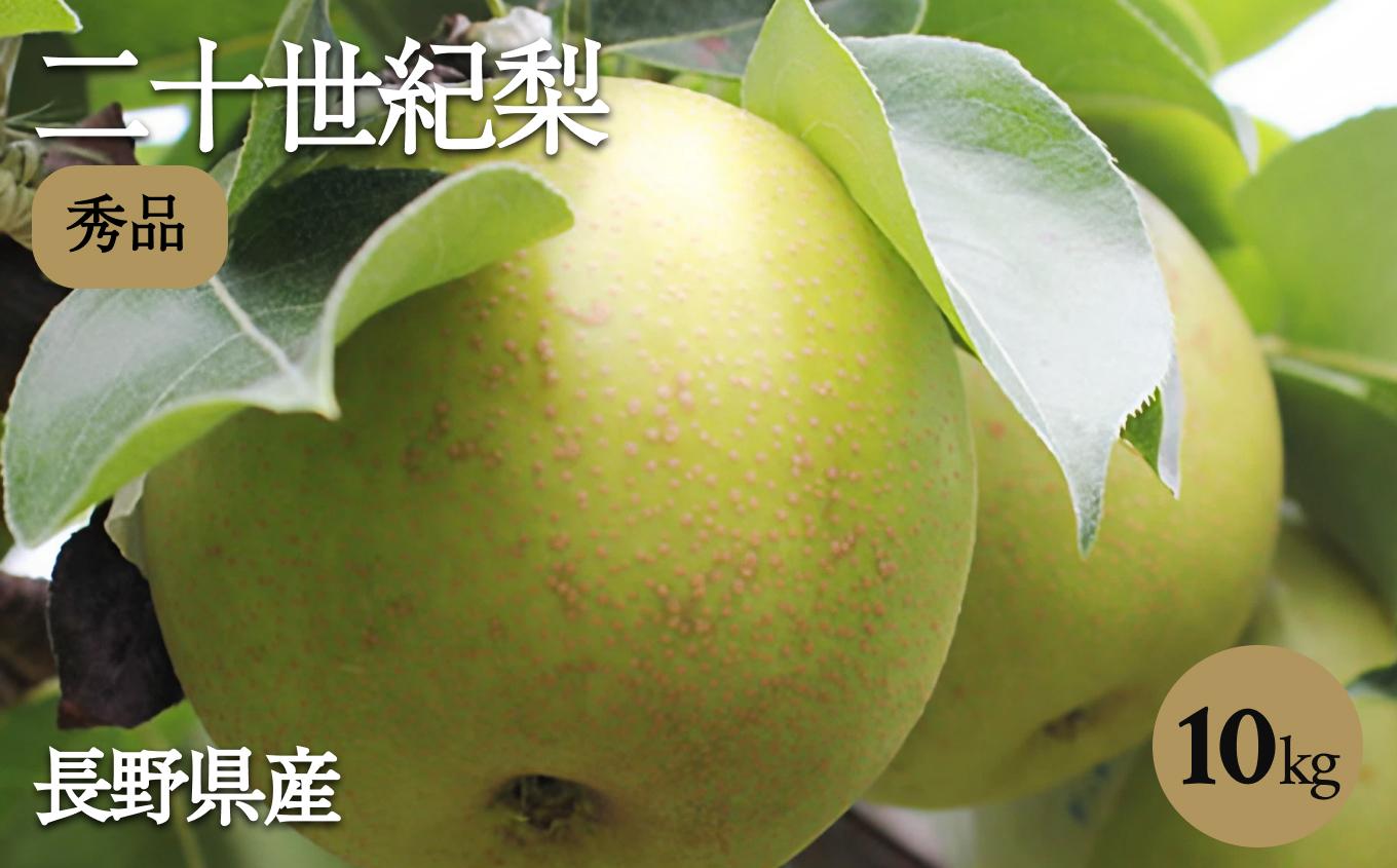 滴る程にジューシーな梨 長野県産 なし ( 二十世紀 )  約10kg 秀品〈2026年9月上旬～9月末発送〉| 果物 くだもの フルーツ なし 梨 二十世紀 長野県 信州 南信州 飯田市