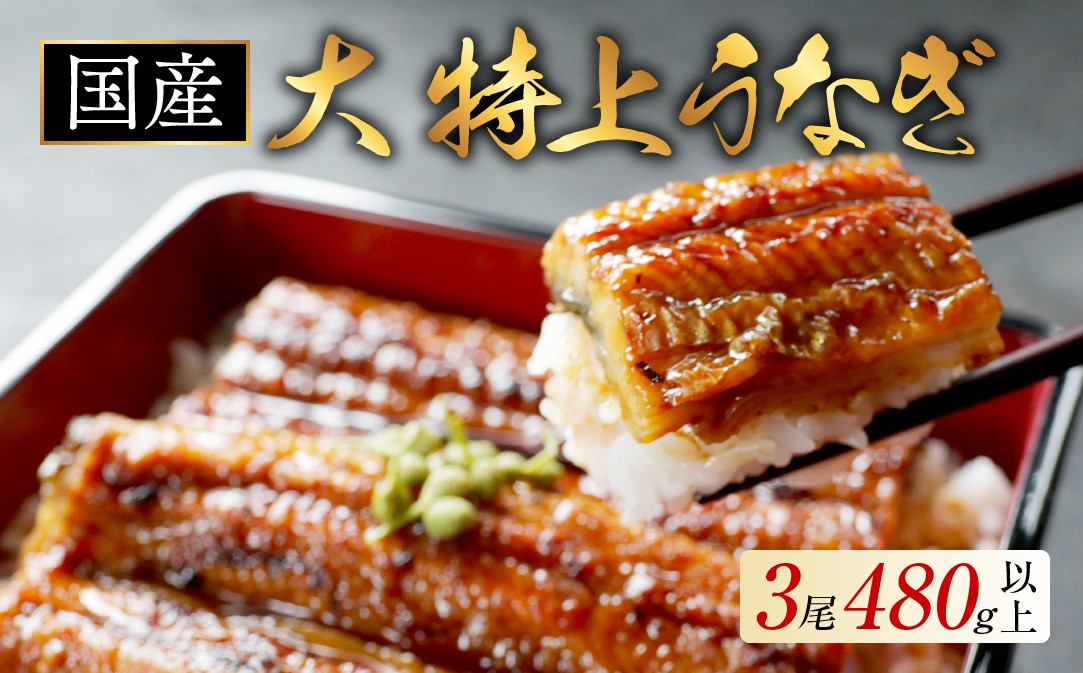 
                  国産 大 特上うなぎ 計480g以上 （ 160g 3尾 ） （ 国産 うなぎ 鰻 ウナギ 蒲焼き 蒲焼 かばやき 魚 魚介 魚貝 海鮮 うな重 ひつまぶし 蒲焼 訳あり ギフト 人気 おすすめ 北海道 別海町 160g 3尾  国産 うなぎ 鰻 ウナギ 蒲焼き ふるさとチョイス ふるさと納税 仕組み キャンペーン 限度額 計算 ランキング やり方 シミュレーション チョイス チョイスマイル ）
                