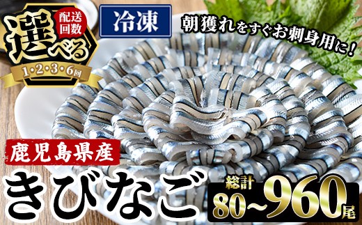 
                  ＜内容量・配送回数が選べる！＞ 鹿児島県産！阿久根のきびなごお刺身セット (80～960尾) 魚介類 冷凍 海鮮 魚 きびなご キビナゴ 刺身 さしみ 刺し身 青魚 子魚 小分け 阿久根市産 国産 定期便 お試し 【椎木水産】
                