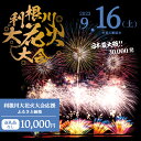 【ふるさと納税】【返礼品なし】利根川大花火大会応援ふるさと納税 (10000円分) 【茨城県境町】