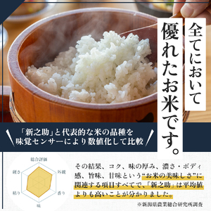 【令和5年産定期便】魚沼産　新之助　【定期便】精米2kg×3回