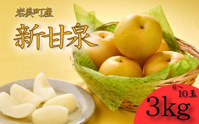 
            【先行予約】中野農園 梨 ”新甘泉” 3kg箱｜鳥取 岩美 梨 なし ナシ【41020】
          