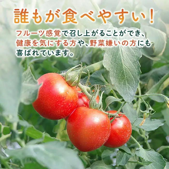 あま壱岐 トマト 約600~700g [JAE010] トマト