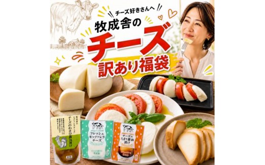 ＜牧成舎＞ 訳あり チーズ 福袋 詰め合わせ ｜ 短賞味期限 チーズおまかせ 食品ロス チーズ福袋 食品 国産チーズ 人気 チーズ 訳アリ チーズ詰め合わせ 牧成舎 チーズ 乳製品 ワケアリ チーズギフト ナチュラルチーズ モッツァレラチーズ おつまみチーズ お酒 ワイン プレゼント 誕生日 チーズ食べ比べ ギフト