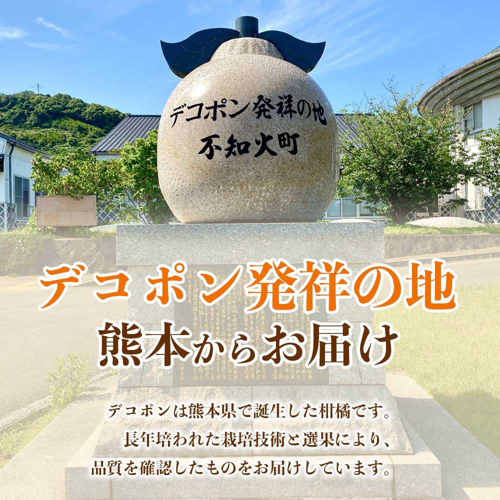 先行予約 デコポン 約5kg (12〜24玉) 【2026年12月上旬〜2027年4月上旬配送予定】でこぽん 果物 フルーツ くだもの 柑橘 柑橘類 フルーツ 国産 熊本 熊本県 九州 産地直送 日本