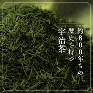 宇治茶 ペットボトル 500ml×24本 京都 ペットボトル お茶
