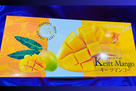 BV001-1　【2025年8月より順次発送】【先行予約】稀少プレミアム！！豊見城市産キーツマンゴー！大玉2〜3玉(約1.5kg)