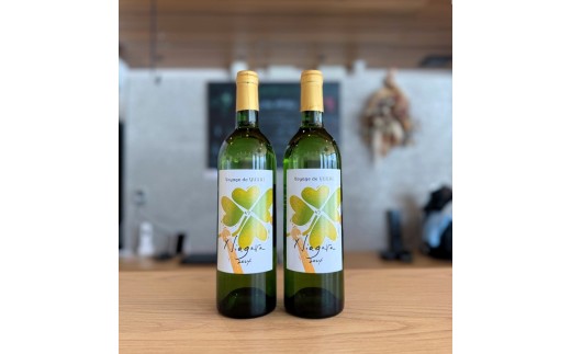 【思いやり型返礼品】ナイアガラワイン（Voyage de YUUAI）白　２本　0115-2602