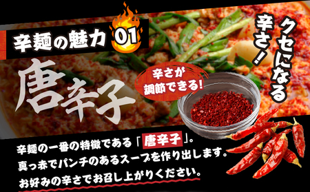 風来軒 宮崎辛麺「中野屋」（常温生麺）2食入×4袋 辛麺 中華麺