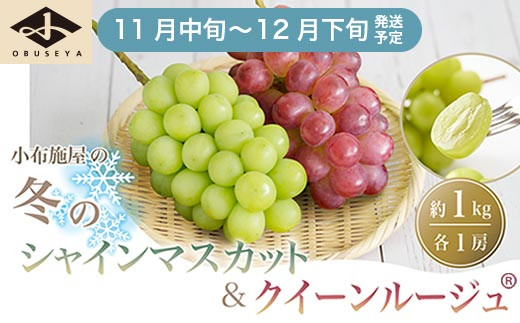 冬のシャインマスカット＆クイーンルージュ® 約1kg 各1房 ［小布施屋］フルーツ 果物 くだもの ぶどう 葡萄 ブドウ クール便 冷蔵 お楽しみ 長野県産 信州産 令和7年産 【2025年11月中旬～12月下旬発送】 ［A-302］