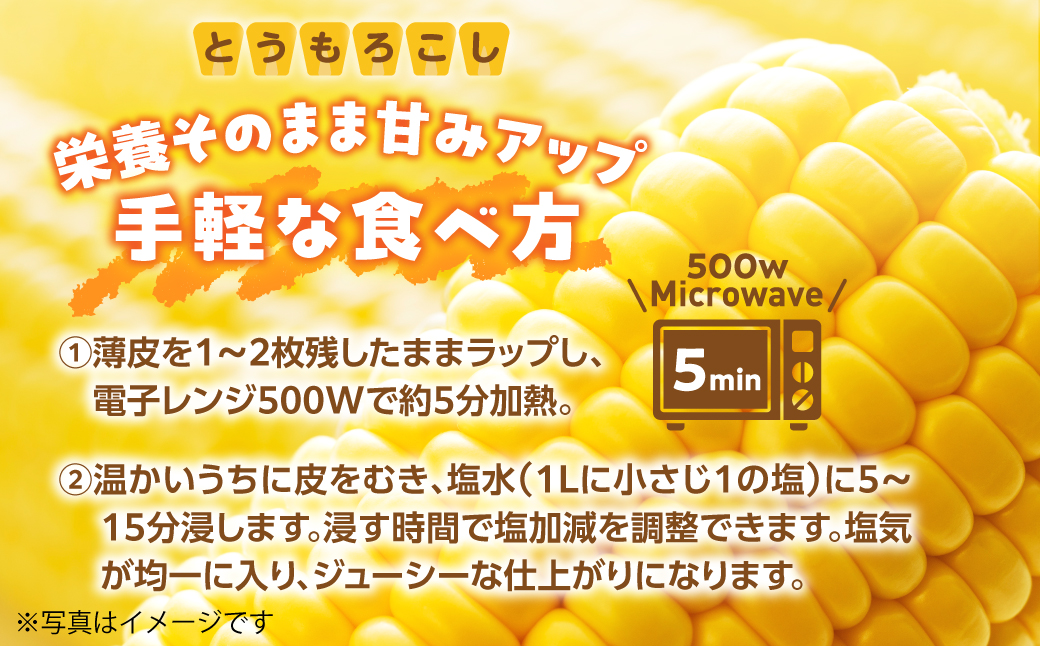 ＜2026年8月初旬よりお届け＞約5kg！北海道壮瞥産とうもろこし（恵味）【Ｌ〜2Lサイズ 11〜13本】 SBTP002