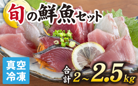 【日本海鮮魚】漁師厳選鮮魚真空冷凍セット　約2g～2.5kg(4種以上)  | 鮮魚 鮮魚 鮮魚 鮮魚 鮮魚 鮮魚 魚 詰め合わせ 新鮮 煮物 焼き物 お造り 刺身 晩酌 食卓 BBQ 急速冷凍 真空パック 鮮魚セット 詰合せ 鮮魚店 厳選 お任せ 鮮度 産直 海鮮 加熱用 冷凍保存 福井県 南越前町 越前 送料無料